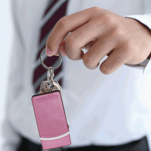 Fang Keychain Stun Gun and Flashlight with Battery Meter